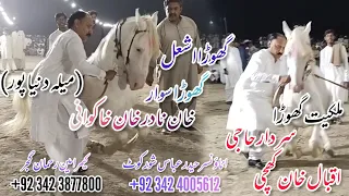 Ghora Dance | Ghora Ashal | Owner Sadar Haji  Iqbal Khan Khichi | Maila Dunia Pur