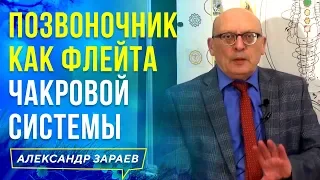 ПОЗВОНОЧНИК КАК ФЛЕЙТА ЧАКРОВОЙ СИСТЕМЫ | АЛЕКСАНДР ЗАРАЕВ 2021 | ФРАГМЕНТЫ ВЕБИНАРА 20.04.20