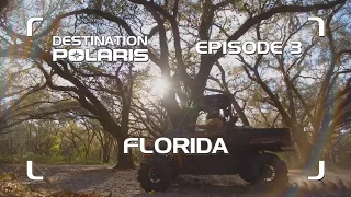 DP 2017: EPISODE 3 "FLORIDA"