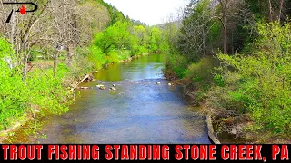 Trout Fishing Standing Stone Creek PENNSYLVANIA