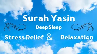 Surah Yasin...For Deep Sleep,Relaxation  and Stress Relief #surah#quran #relaxation  #surah_yasin