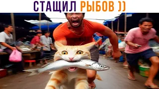 СТАЩИЛ РЫБОВ ))) | Приколы с котами | Мемозг 1338