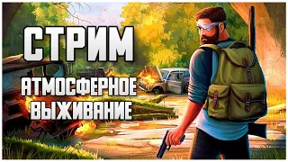 Атмосферное выживание! Стрим DayZ #shorts #dayz #дейз