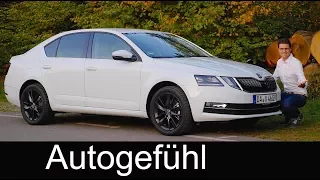 Skoda Octavia FULL REVIEW Limousine hatch sedan 2018 Facelift TSI - Autogefühl