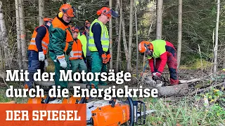 Brennholz-Selbstwerber im Wald: Mit der Motorsäge durch die Energiekrise | DER SPIEGEL