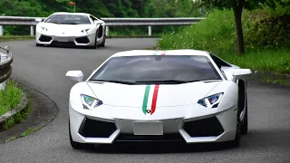 【空吹かし】ランボルギーニ アヴェンタドール 爆音 空吹かしサウンド/Engine sound of Lamborghini Aventador