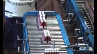 PET bottles palletizer.wmv