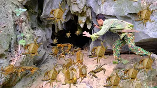 discovered a lot of crabs hiding deep in the cave. Go deep into the cave to catch rock crabs