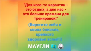 МАУГЛИ CHAMP тренировка дома во время карантина 👍☝️💪🥋🇰🇿