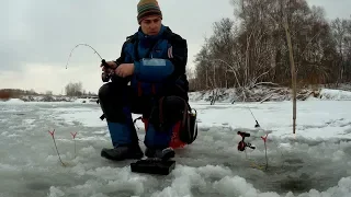 ПРИКОРМИЛ И НАЛОВИЛ. Подледный фидер на реке