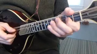 Cooley's Reel (with Tabs) - Mandolin Lesson