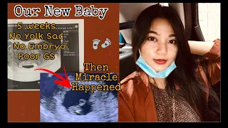 First Ultrasound 5 weeks No Yolk Sac No Embryo yet | Chi Rico