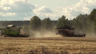 7 CLAAS и РОСТСЕЛЬМАШ уборка ячменя.(LEXION 670,2-TUCANO 450,580,340, MEGA 350, MEDION 310,РСМ 161.)