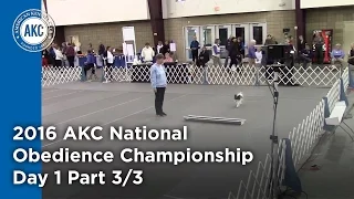 National Obedience Championship 2016 Day 1 Part 3/3