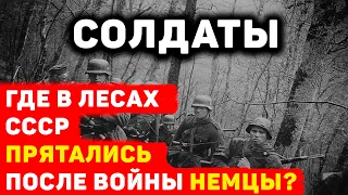 ГДЕ ПРЯТАЛИСЬ НЕМЕЦКИЕ СОЛДАТЫ ПОСЛЕ ВОЙНЫ, УКРЫВАЯСЬ В СОВЕТСКИХ ЛЕСАХ