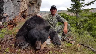 Huge Black Bear in Montana - Reed Dalton - MossBack