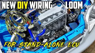 How To Make a ECU Wiring Loom - Dicktator to Honda D/B Series