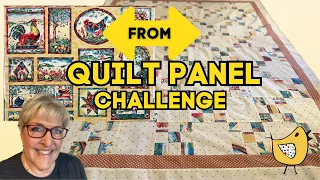 🐤What I Did With this Quilt Panel🐤