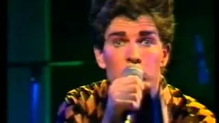 Split Enz "Poor Boy" Live True Colours concert