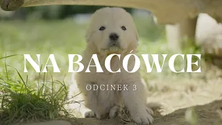 Na Bacówce | Odcinek 3