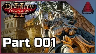 Divinity Original Sin 2 - Character Creation / Choice [Walkthrough Part 001]