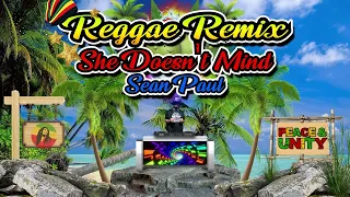 Sean Paul - She Doesn't Mind (Reggae Remix) Dj Jhanzkie Tiktok 2023