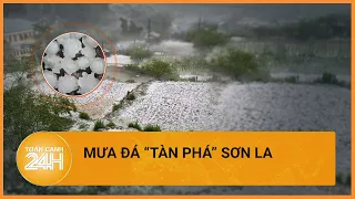 Sơn La: mưa đá hạt to bằng nắm tay, xuyên thủng 600 mái nhà| Toàn cảnh 24h
