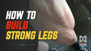 How To Build Strong Legs | The Keys To Growing Your Legs