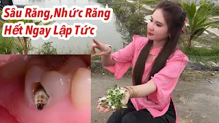 Sâu Răng Nhức Răng Hết Ngay Lập Tức Chỉ Bằng Hoa Thảo Dược Tự Nhiên Đâu Cũng Có, Cách Trị Nhức Răng