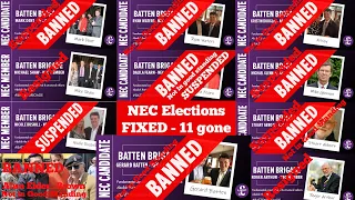 UKIP 2020 Rogue Leadership Chronicles