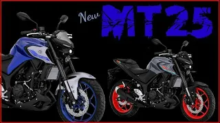 Pilihan warna Yamaha MT25 2021 - pilih biru atau grey