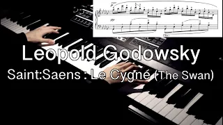 Leopold Godowsky - Saint-Saens : Le Cygne(The Swan)