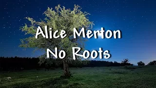 Alice Merton - No Roots - Lyrics