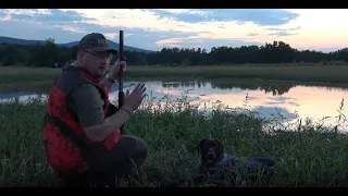 Sudecka Ostoja 34/2020. Polowanie na kaczki. Duck hunting in Poland.