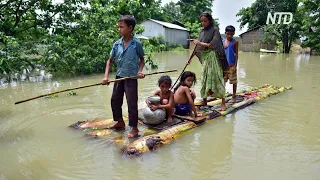 Наводнения в Индонезии и Индии: спасают людей и животных