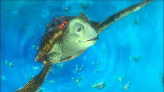 Marlin nuota con le tartarughe | Alla ricerca di Nemo