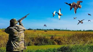 HOT DUCK HUNTING OPENING 2023