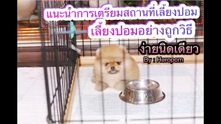 แนะนำการเตรียมอุปกรณ์การเลี้ยงน้องปอมเมอเรเนียนเบื้องต้นby Hero’spom