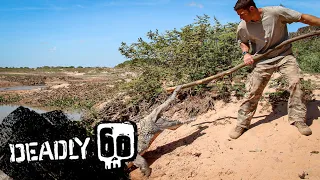 Crocodile Protects Her Nest | Deadly 60 | BBC Earth Kids