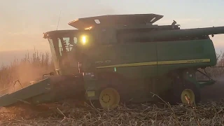 Harvest 2019