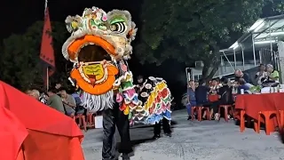 Traditional Southern Lion Pan Guan's Lion Dance