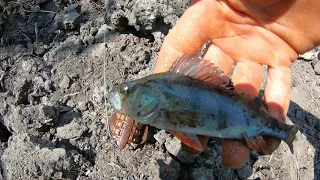 Рыбалка на Макортовском водохранилище (карась, подлещик, плотва, окунь)