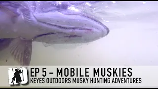 Mobile Muskies - Keyes Outdoors Musky Hunting Adventures