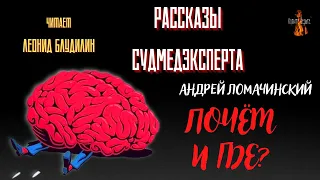 Рассказы Судмедэксперта: ПОЧЁМ И ГДЕ? (автор: Андрей Ломачинский).