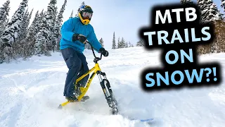 We Tried SKI BIKING and it was INSANE!!