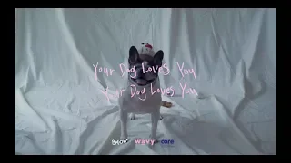 Colde (콜드) - Your Dog Loves You (Feat. Crush) (Official Video)