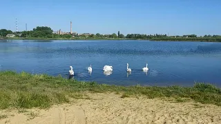 Олександрівко моя, ти зелене серце Землі