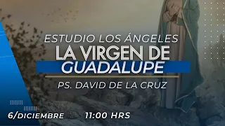 La virgen de Guadalupe | Pr. David de la Cruz | VNPEM Norte