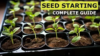 Watch This Before Starting Seedlings | Complete Seed Growing Guide