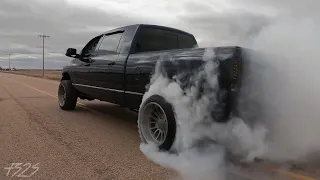 AlphaMega - 900HP CUMMINS HOLDS NOTHING BACK! (NASTY BURNOUT)